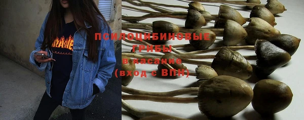 стафф Магадан