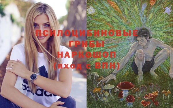 ешки Абинск
